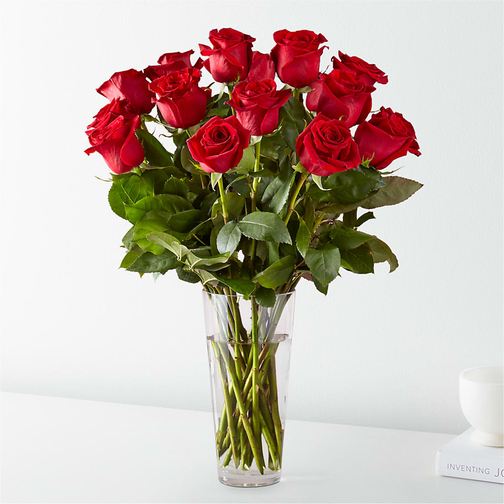 Long Stem Red Rose Bouquet – Rainbow Flower Shop, Huron SD