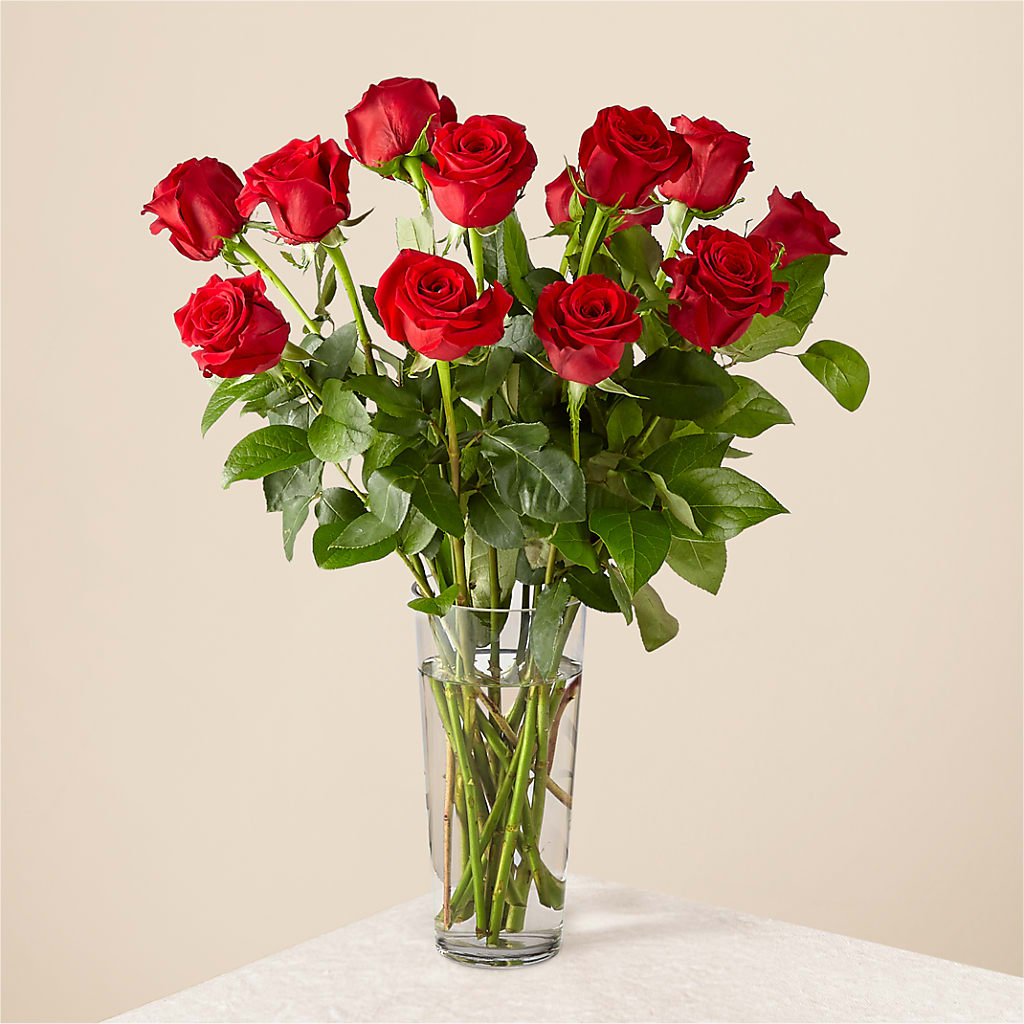 Long Stem Red Rose Bouquet – Rainbow Flower Shop, Huron SD