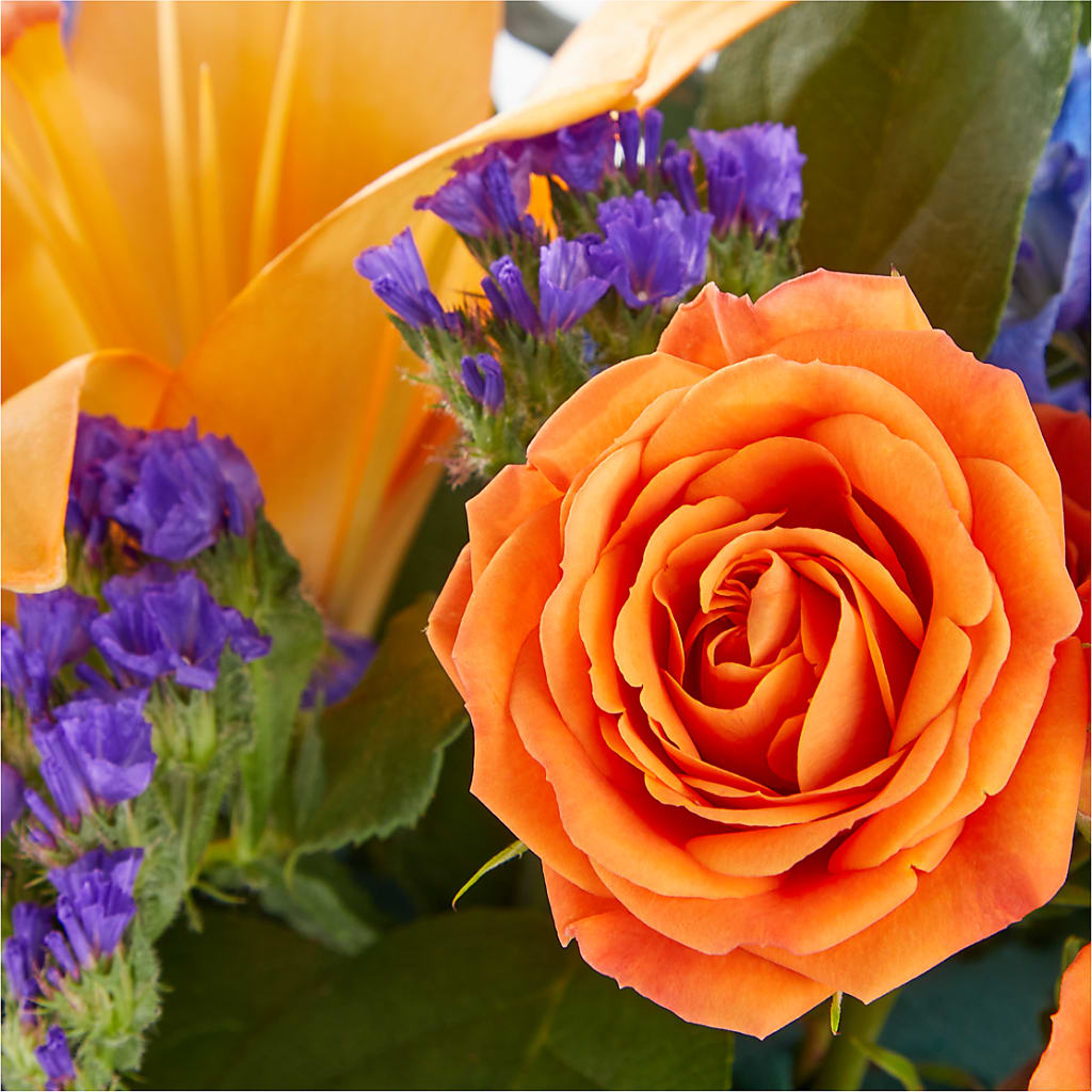 Radiant Citrus Box Bouquet – Rainbow Flower Shop, Huron SD