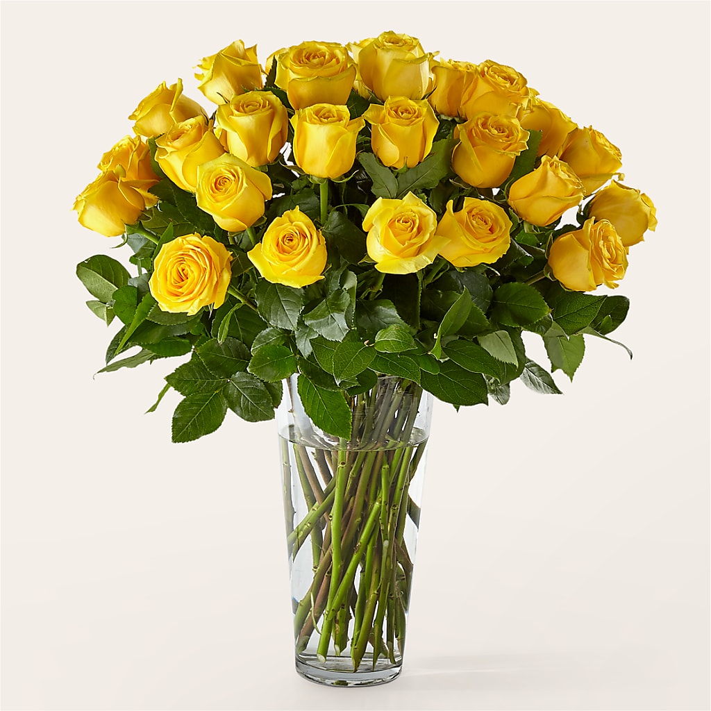 Long Stem Yellow Rose Bouquet – Rainbow Flower Shop, Huron SD