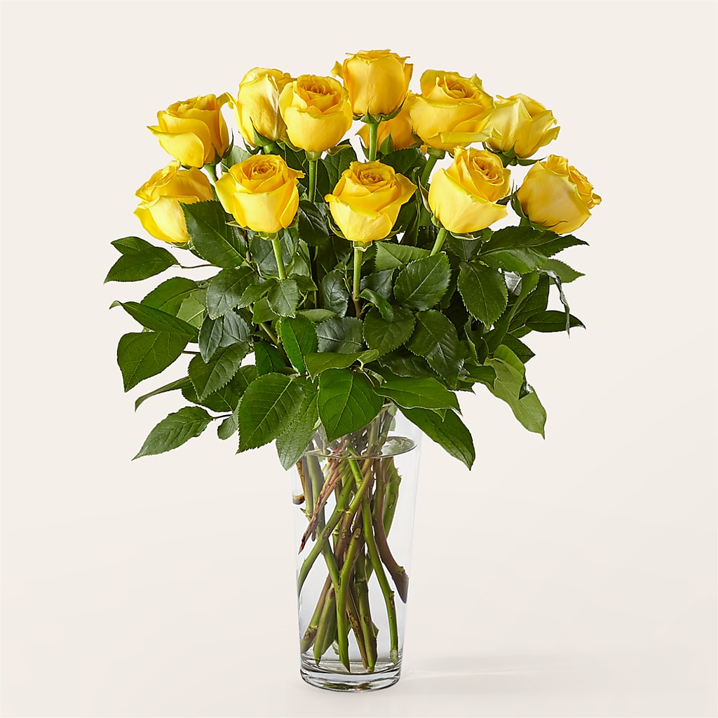 Long Stem Yellow Rose Bouquet – Rainbow Flower Shop, Huron SD