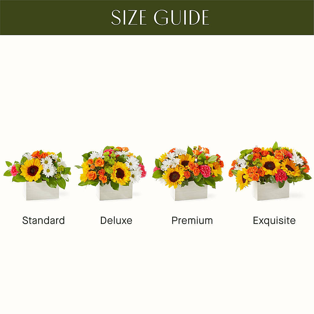 Sun-drenched Blooms Box Bouquet – Rainbow Flower Shop, Huron SD
