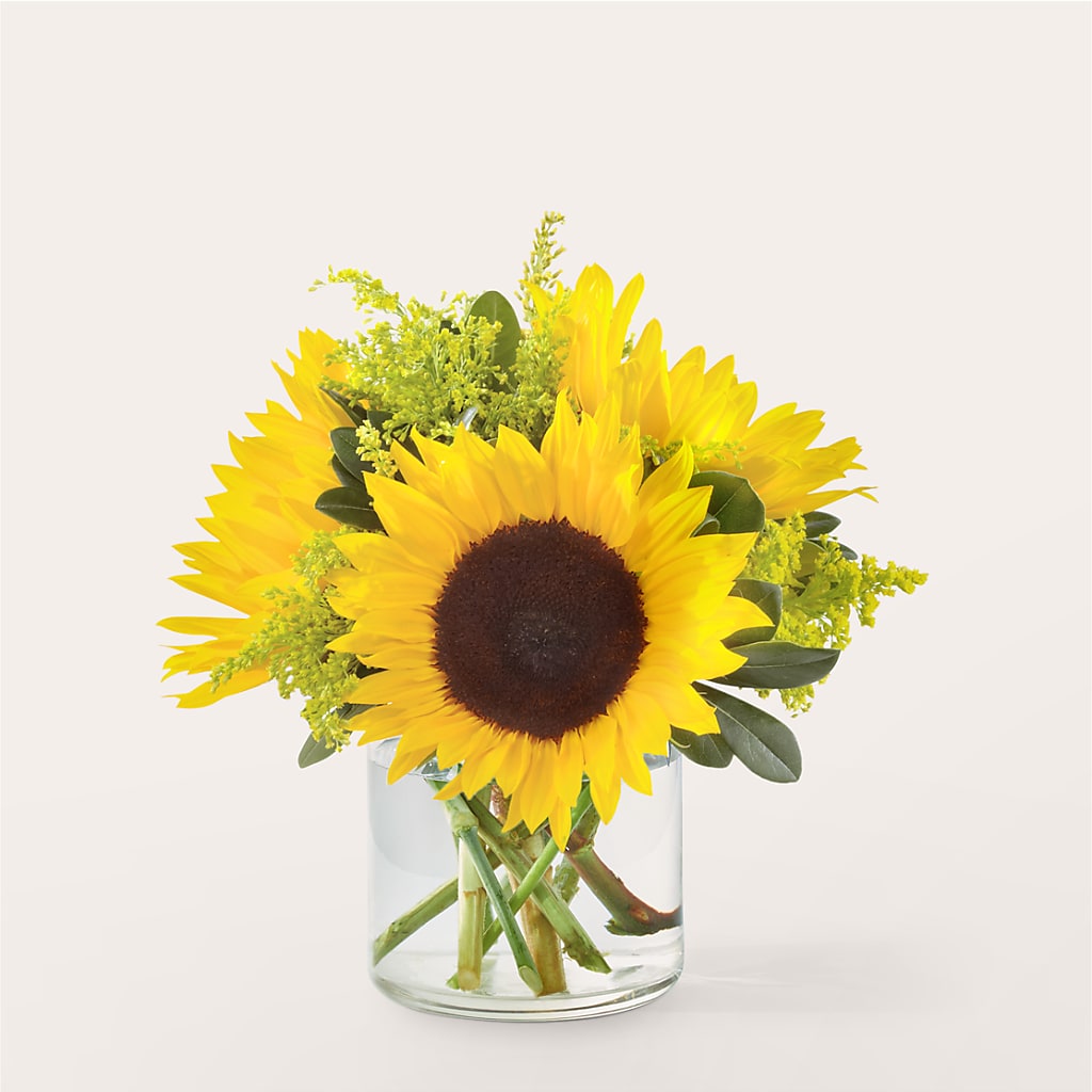 Beaming Sunflower Bouquet – Rainbow Flower Shop, Huron SD