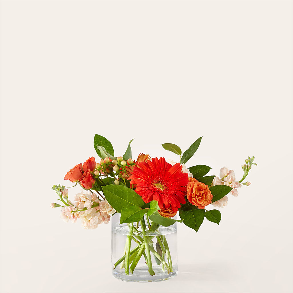 Paloma Please Bouquet – Rainbow Flower Shop, Huron SD