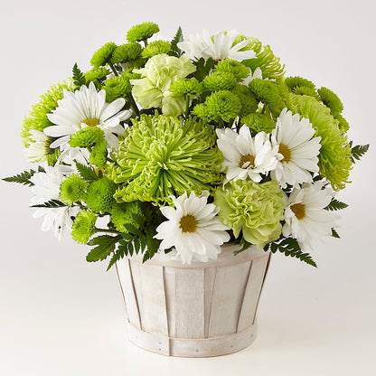 Lucky Charm Basket (Standard) –  Rainbow Flower Shop, Huron SD