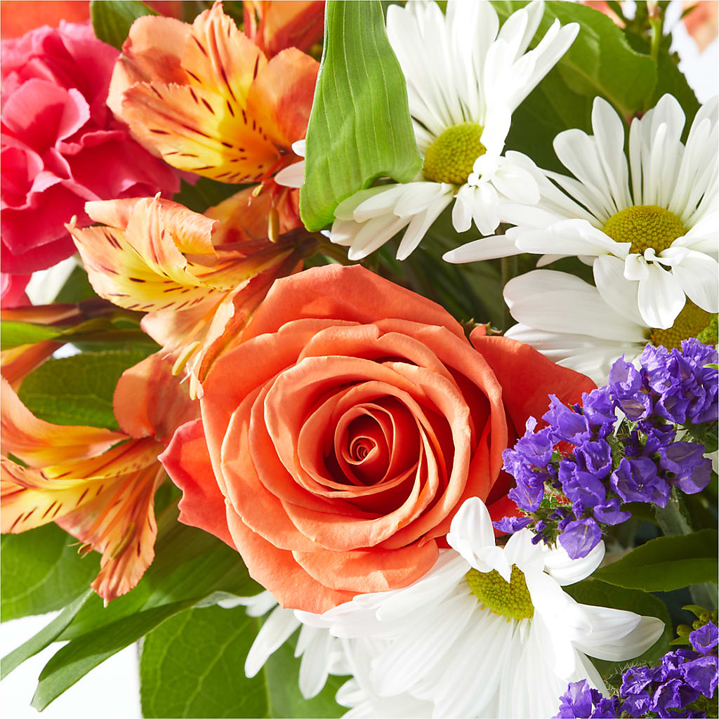 Oopsie Daisy Box Bouquet –  Rainbow Flower Shop, Huron SD