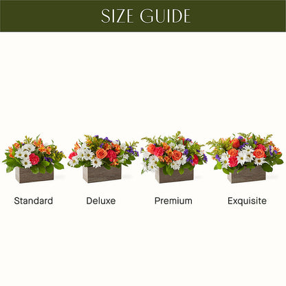 Oopsie Daisy Box Bouquet –  Rainbow Flower Shop, Huron SD