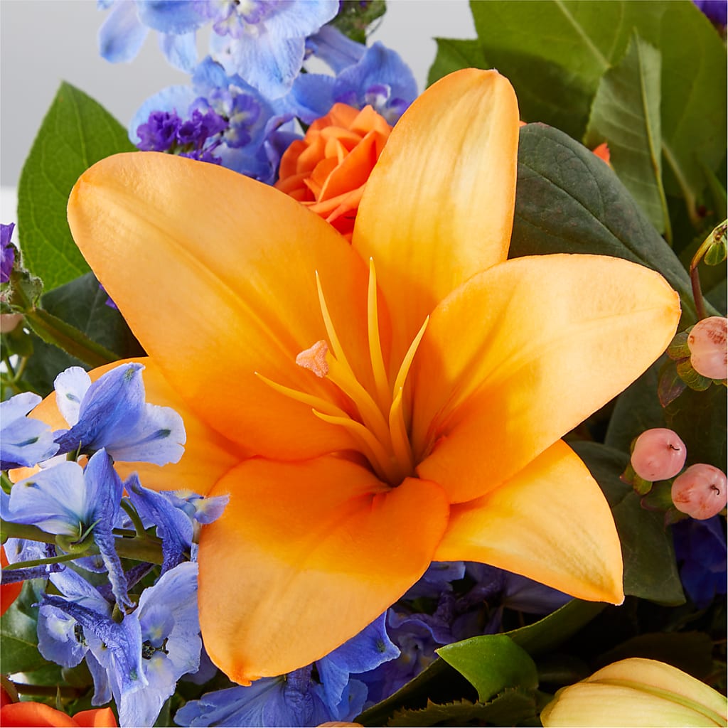 Radiant Citrus Box Bouquet –  Rainbow Flower Shop, Huron SD