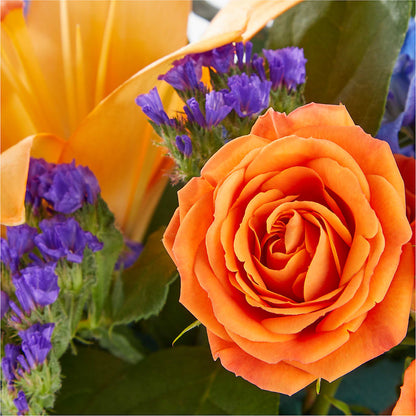 Radiant Citrus Box Bouquet –  Rainbow Flower Shop, Huron SD