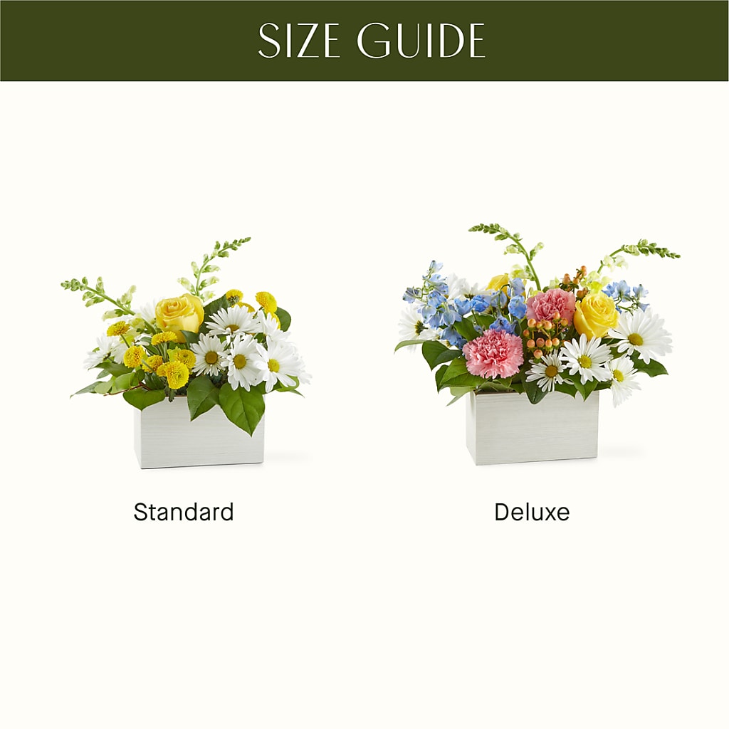 Sun Salutation Box Bouquet –  Rainbow Flower Shop, Huron SD