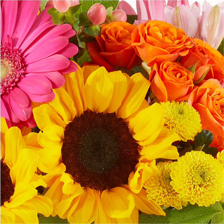 Huron Florist with Same-Day Delivery | Rainbow Flower Shop–Rainbow ...