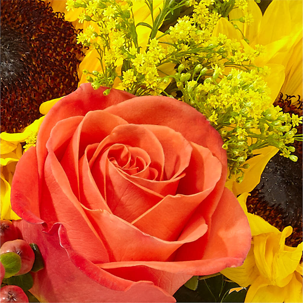 Pick of the Patch Pumpkin Bouquet –  Rainbow Flower Shop, Huron SD
