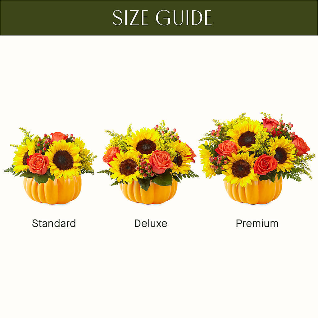Pick of the Patch Pumpkin Bouquet –  Rainbow Flower Shop, Huron SD