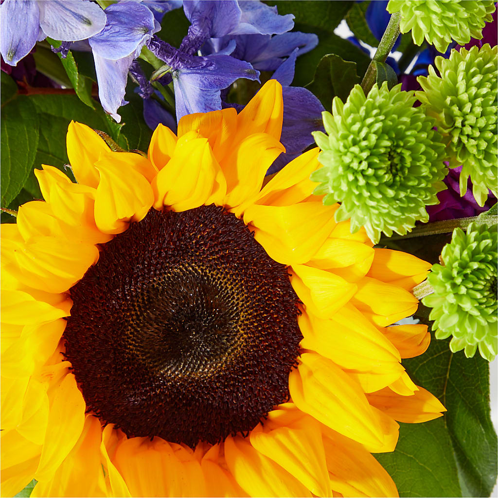 Catching Rays Bouquet –  Rainbow Flower Shop, Huron SD