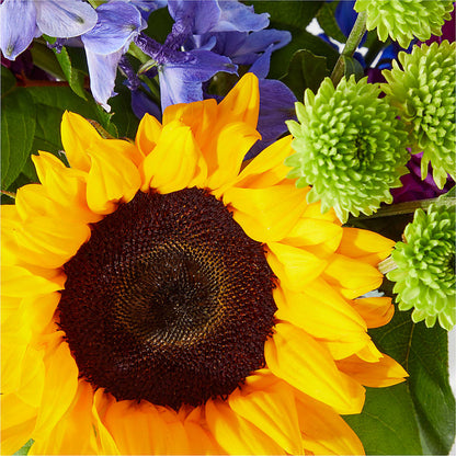 Catching Rays Bouquet –  Rainbow Flower Shop, Huron SD