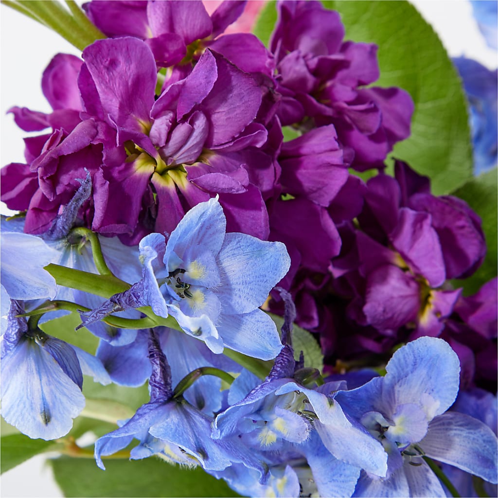 Twilight Glow Bouquet –  Rainbow Flower Shop, Huron SD