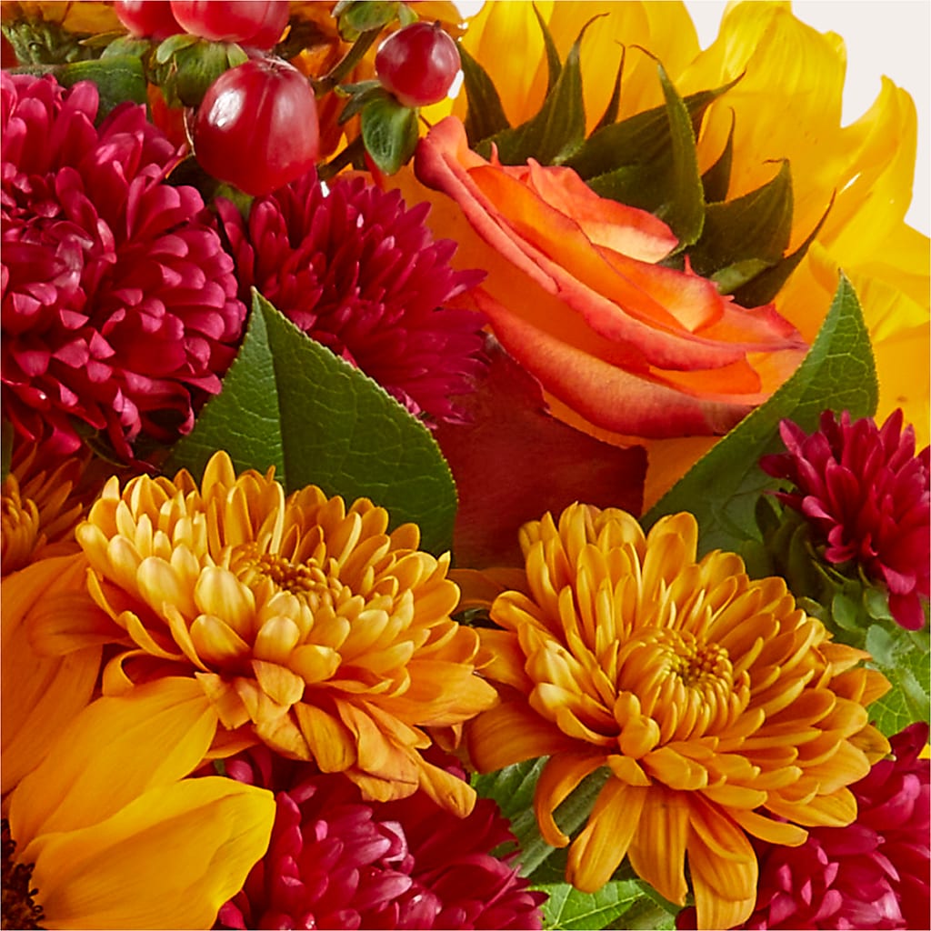 Sweater Season - A Florist Original –  Rainbow Flower Shop, Huron SD