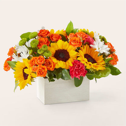 Sun-drenched Blooms Box Bouquet –  Rainbow Flower Shop, Huron SD