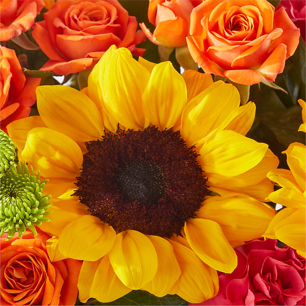 Sun-drenched Blooms Box Bouquet –  Rainbow Flower Shop, Huron SD