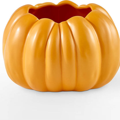 Pick of the Patch Pumpkin Bouquet –  Rainbow Flower Shop, Huron SD
