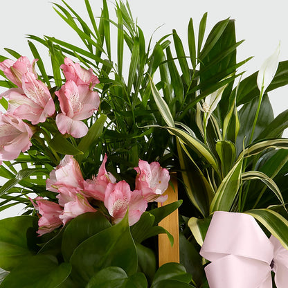 Living Spirit Dishgarden –  Rainbow Flower Shop, Huron SD