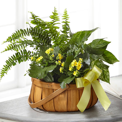 Always Dear Dishgarden –  Rainbow Flower Shop, Huron SD