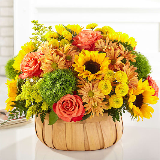 Harvest Sunflower Basket –  Rainbow Flower Shop, Huron SD