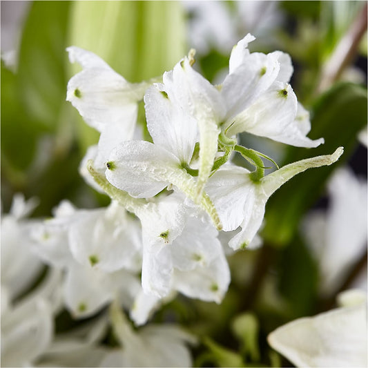 Classic Ivory – A Florist Original –  Rainbow Flower Shop, Huron SD