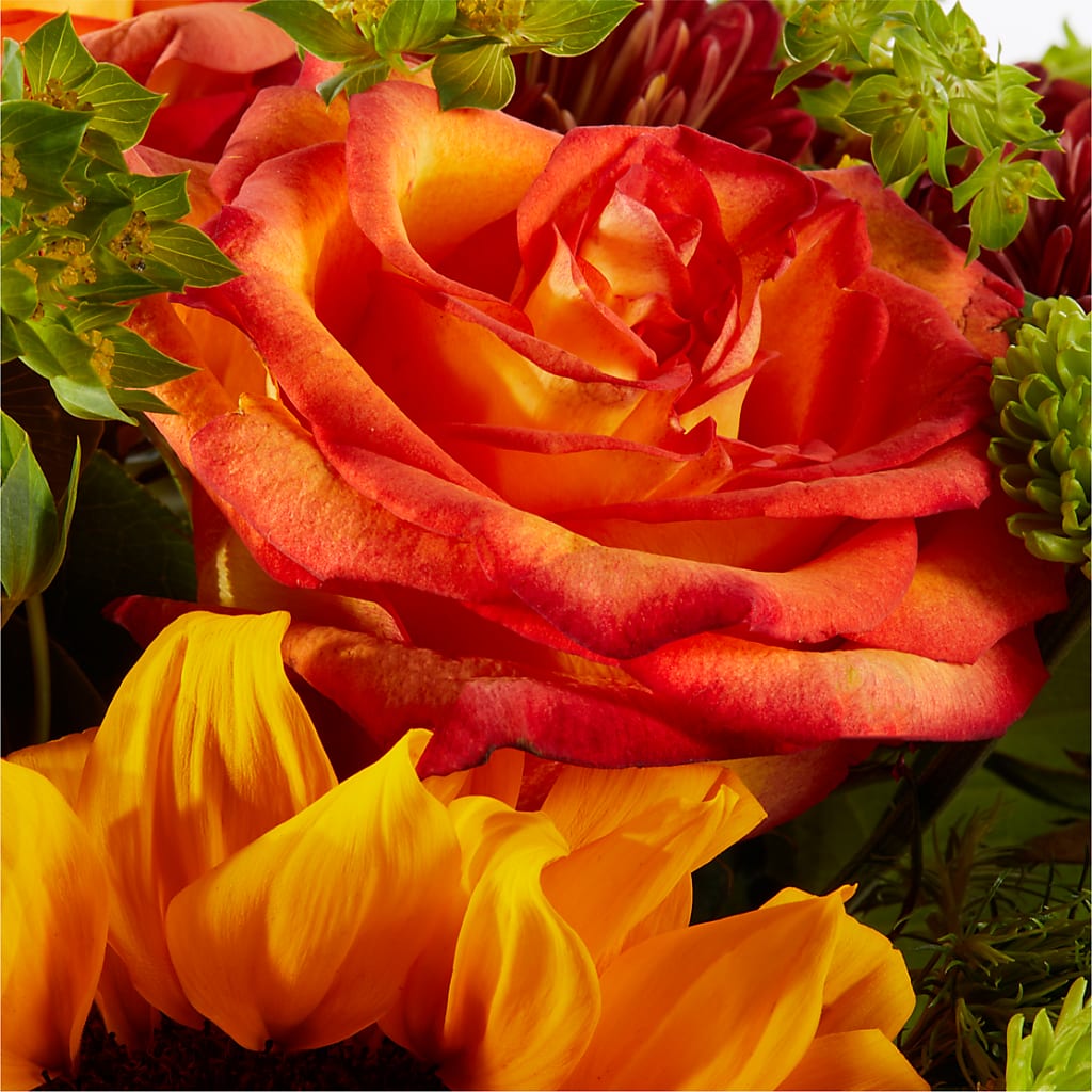 Harvest Festival Bouquet –  Rainbow Flower Shop, Huron SD
