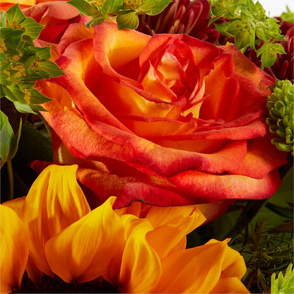 Harvest Festival Bouquet –  Rainbow Flower Shop, Huron SD