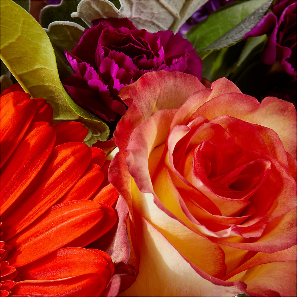 Sangria Bouquet –  Rainbow Flower Shop, Huron SD