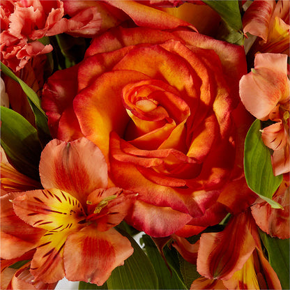 Apricot Glow Bouquet –  Rainbow Flower Shop, Huron SD