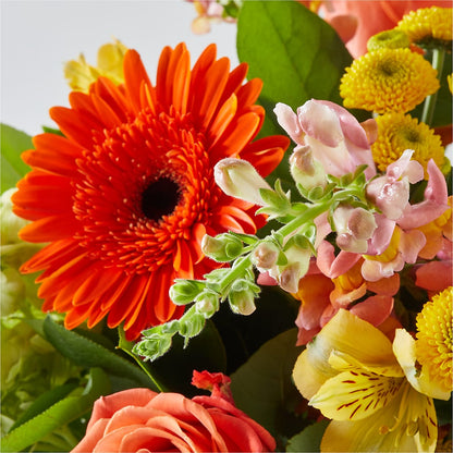 Autumn Sunshine Bouquet –  Rainbow Flower Shop, Huron SD