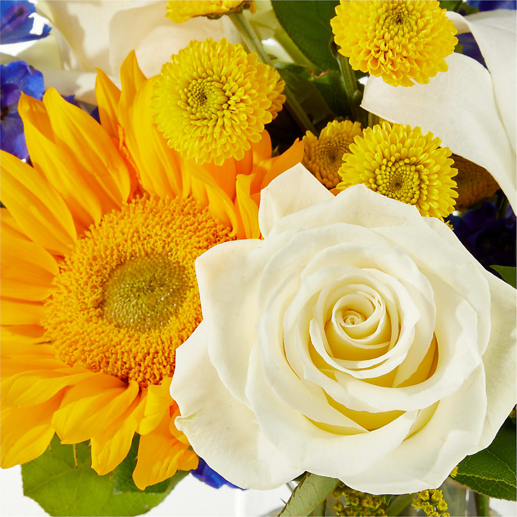 Stargazing Bouquet –  Rainbow Flower Shop, Huron SD