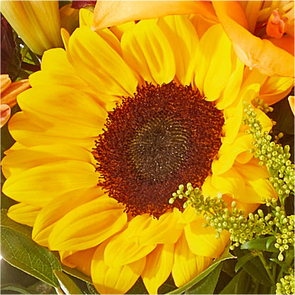 Seasons Change Bouquet –  Rainbow Flower Shop, Huron SD