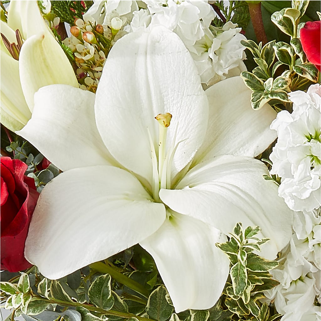 Twinkle Lights Bouquet –  Rainbow Flower Shop, Huron SD