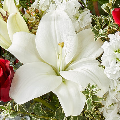 Twinkle Lights Bouquet –  Rainbow Flower Shop, Huron SD