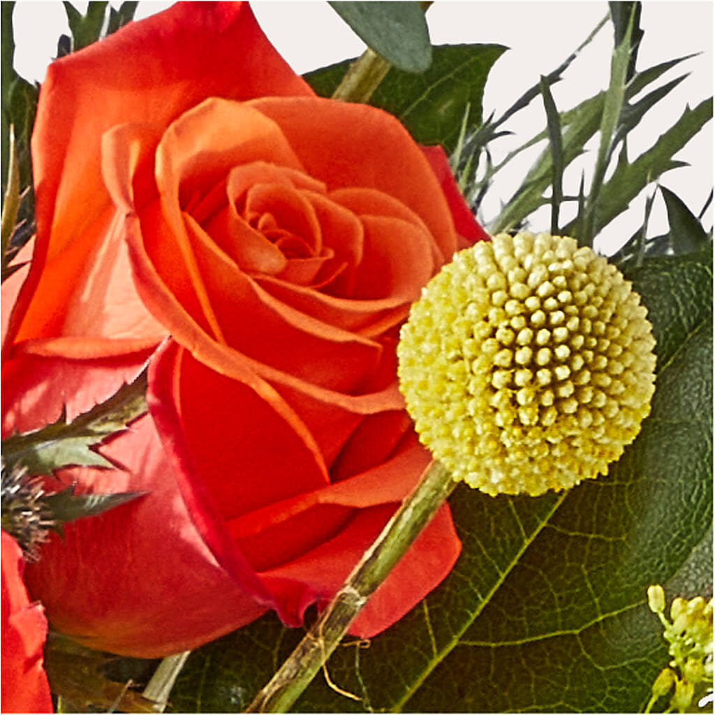 Disco Bouquet –  Rainbow Flower Shop, Huron SD