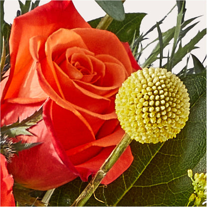 Disco Bouquet –  Rainbow Flower Shop, Huron SD
