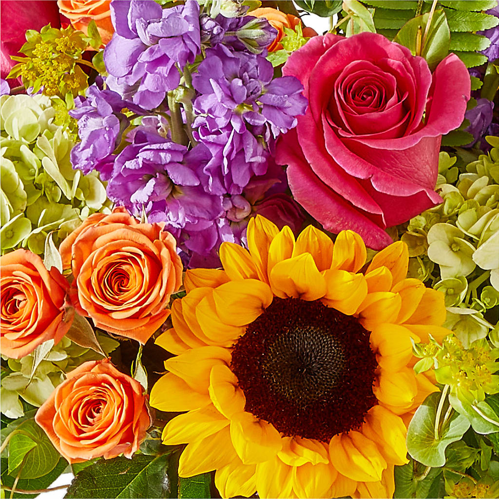 Vibrant Greetings Bouquet –  Rainbow Flower Shop, Huron SD
