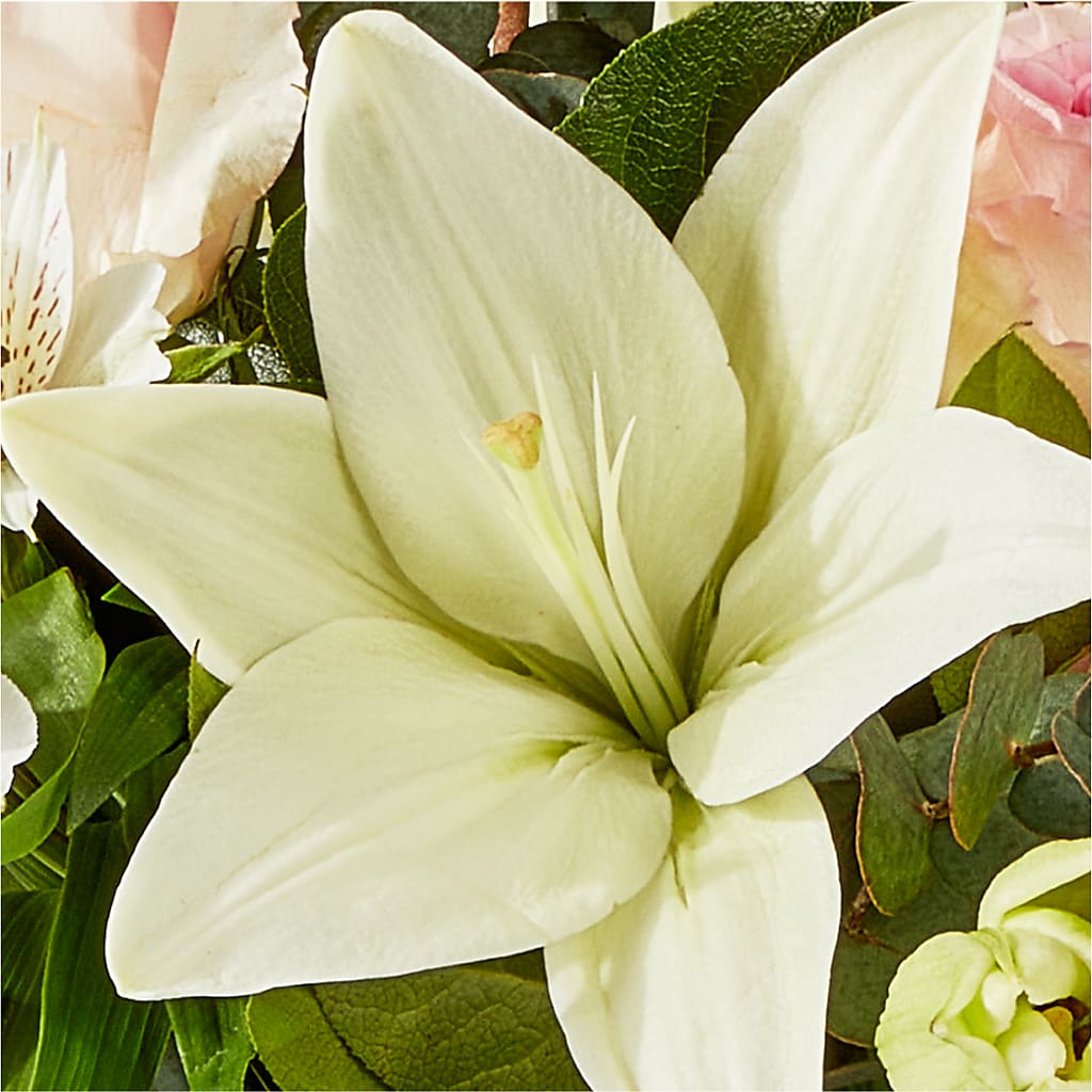 Ballet Slippers Bouquet –  Rainbow Flower Shop, Huron SD