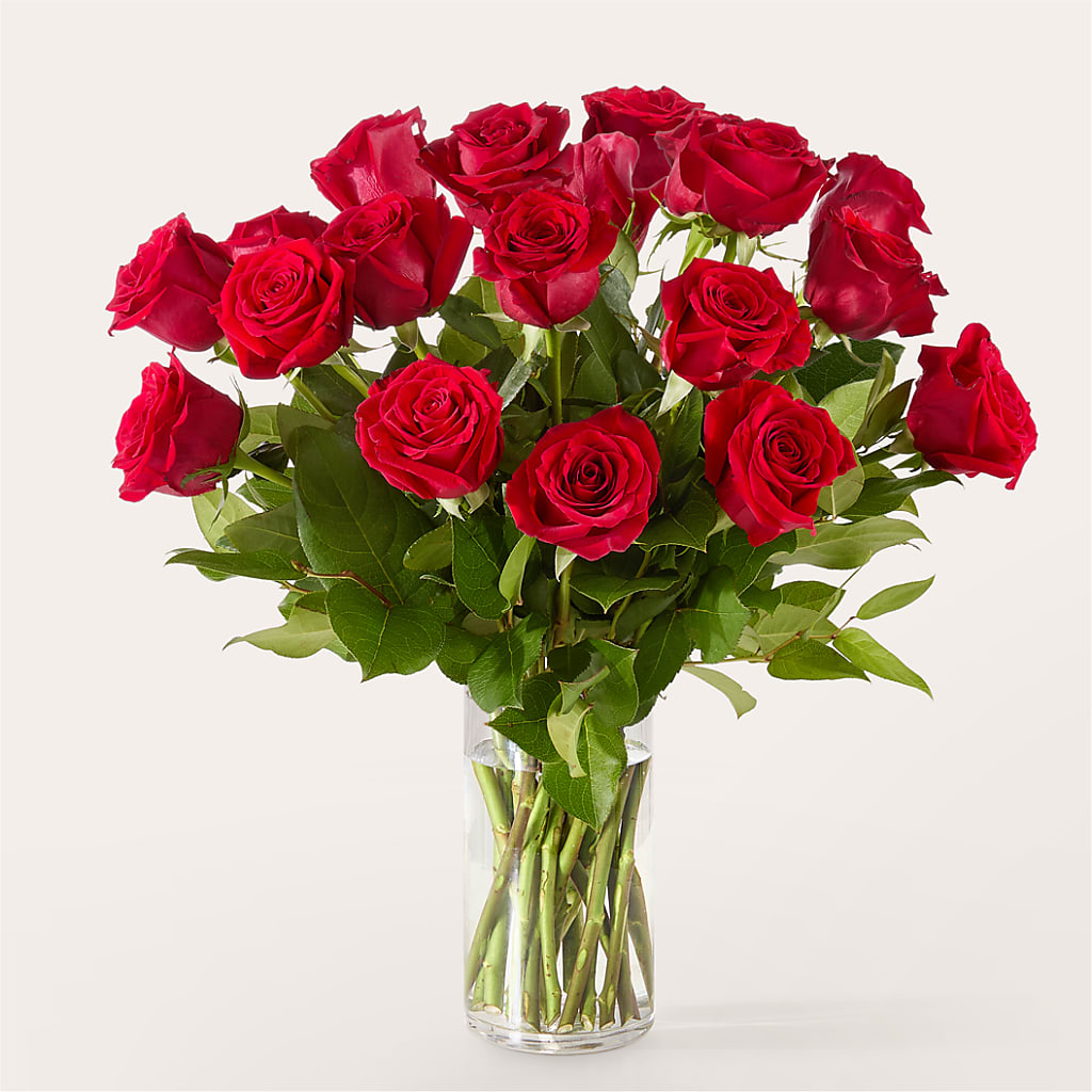 The One Red Rose Bouquet –  Rainbow Flower Shop, Huron SD