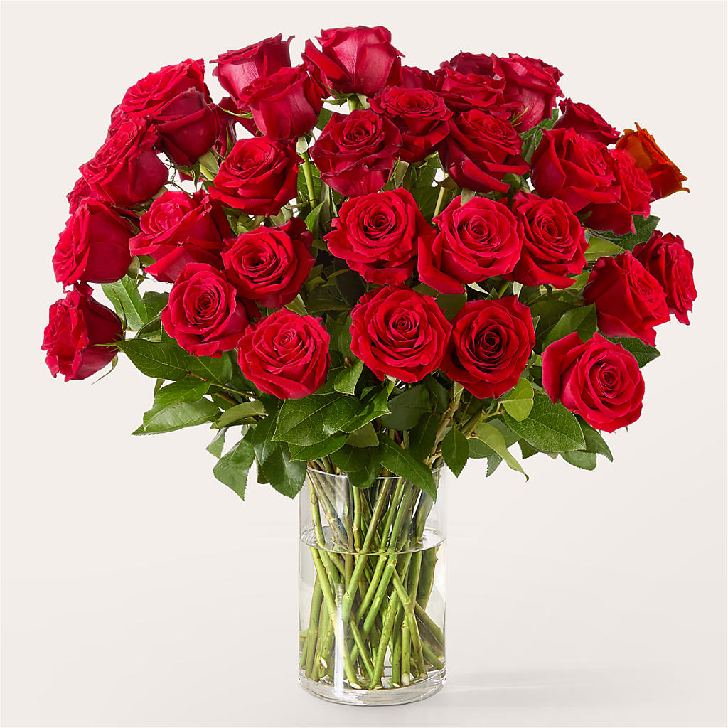 The One Red Rose Bouquet –  Rainbow Flower Shop, Huron SD