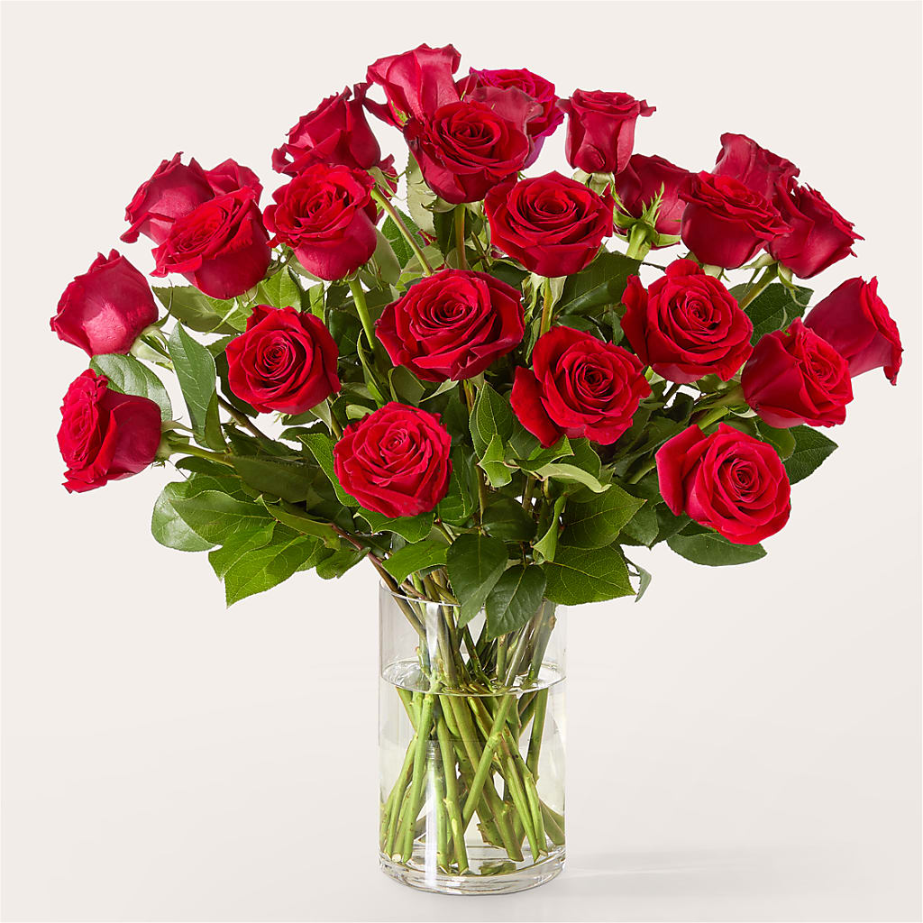 The One Red Rose Bouquet –  Rainbow Flower Shop, Huron SD