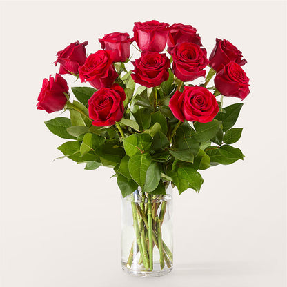 The One Red Rose Bouquet –  Rainbow Flower Shop, Huron SD
