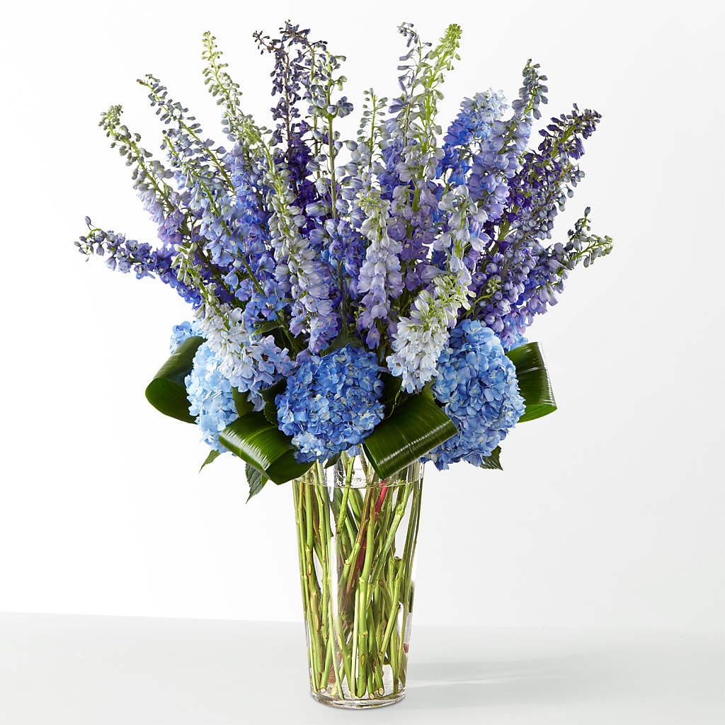 The Editorial –  Rainbow Flower Shop, Huron SD